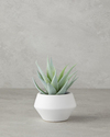Aloevera Plastik Vazolu Yapay Çiçek Yeşil