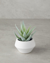 Aloevera Plastik Vazolu Yapay Çiçek Yeşil