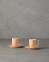 Angely New Bone China 4 Parça 2 Kişilik Kahve Fincan Takımı Somon