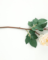 Autumn Rose Tek Dal Yapay Çiçek Krem