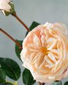 Autumn Rose Tek Dal Yapay Çiçek Krem