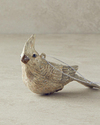 Birdy Plastik Askılı Aksesuar Kahverengi
