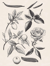 Black Serenity Çubuklu Oda Kokusu 200 ml Siyah