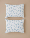 Blue Spring Kolay Ütülenir 2'li Yastık Kılıfı 50x70 cm Mavi