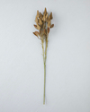 Bunny Tail Leaf Tek Dal Yapay Çiçek 68 cm Sarı