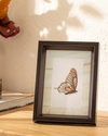 Butterfly Çerçeve Kahve