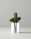 Cactus Vazolu Yapay Çiçek Silver