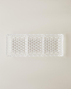 Cage Cam Çerezlik 39,5x15,5 cm Şeffaf