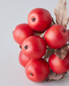 Crabapple Branch Tek Dal Yapay Çiçek 21 cm Kırmızı