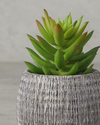 Crassula Plastik Vazolu Yapay Çiçek Yeşil