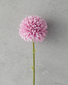 Dandelion Tek Dal Yapay Çiçek Gül Kurusu