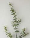 Eucalyptus Tek Dal Yapay Çiçek Yeşil
