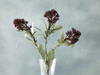 Fancy Flowers Tek Dal Yapay Çiçek Kahve