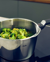 Fissler Vitaquick Elemental Paslanmaz Çelik Düdüklü Tencere 4,5L