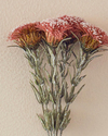 Flower Bunch Tek Dal Yapay Çiçek Bordo