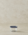 Fresh Safe Cam Saklama Kabı 270 ml Gri