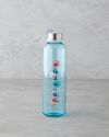 Friends Cam Lisanslı Şişe 500 ml Renkli