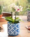 Garden Flowers Stoneware Saksı Lacivert