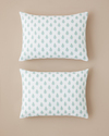 Green Harmony Kolay Ütülenir 2'li Yastık Kılıfı 50x70 cm Yeşil
