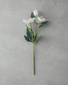 Helleborus Tek Dal Yapay Çiçek Beyaz