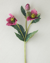 Helleborus Tek Dal Yapay Çiçek Mürdüm