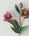 Helleborus Tek Dal Yapay Çiçek Mürdüm