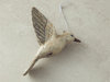 Humming Birds Plastik Askılı Aksesuar Kahverengi