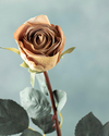 Majestic Rose Tek Dal Yapay Çiçek Krem