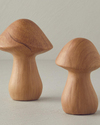 Mushroom Dolomite Biblo Naturel