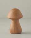 Mushroom Dolomite Biblo Naturel