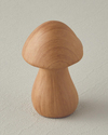 Mushroom Dolomite Biblo Naturel