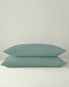 Novella Premium Soft Cotton 2'li Yastık Kılıfı 50x70 cm Koyu Seledon