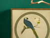 Parrot Tablo Mavi