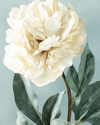 Peony Dream Tek Dal Yapay Çiçek Beyaz
