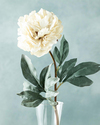 Peony Dream Tek Dal Yapay Çiçek Beyaz