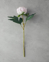Peony Tek Dal Yapay Çiçek Pembe