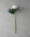 Peony Tek Dal Yapay Çiçek Şampanya