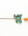 Petit Roses Tek Dal Yapay Çiçek Turuncu