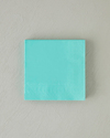 Plain Elegance Kağıt 20'li Kağıt Peçete 33x33 cm Yeşil