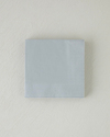 Plain Elegance Kağıt 20'li Kağıt Peçete 33x33 cm Silver