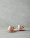 Polka New Bone China 4 Parça 2 Kişilik Kahve Fincan Takımı Pudra