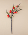 Pomegranate Branch Tek Dal Yapay Çiçek Kırmızı