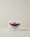 Retro Flowery New Bone China 4 Parça 2 Kişilik Kahve Fincan Takımı 100 ml Beyaz - Bordo