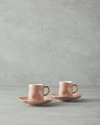Rolly New Bone China 4 Parça 2 Kişilik Kahve Fincan Takımı Pudra