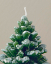 Snow Tree Mum