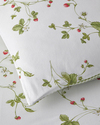 Strawberry Pamuk Tek Kişilik Nevresim Takımı 160x220 cm Yeşil – Kırmızı