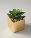 Succulent Vazolu Yapay Çiçek 12 cm Gold