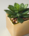 Succulent Vazolu Yapay Çiçek 12 cm Gold