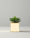 Succulent Vazolu Yapay Çiçek 12 cm Gold
