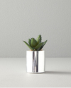 Succulent Vazolu Yapay Çiçek Silver